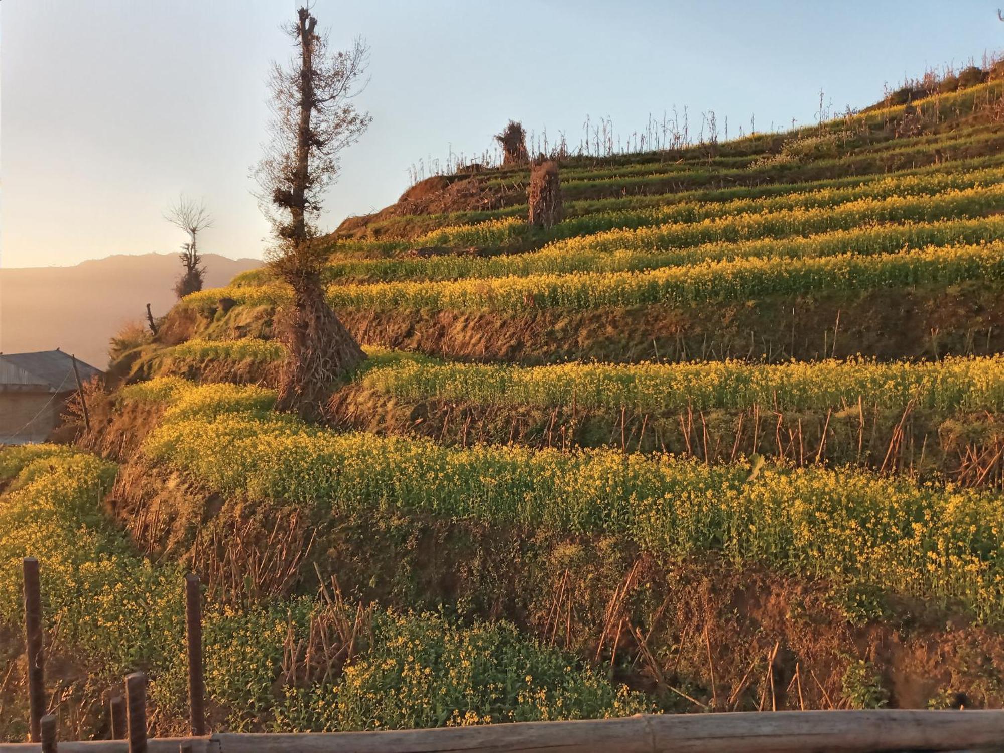 Unique Point Home Stay Nagarkot Esterno foto