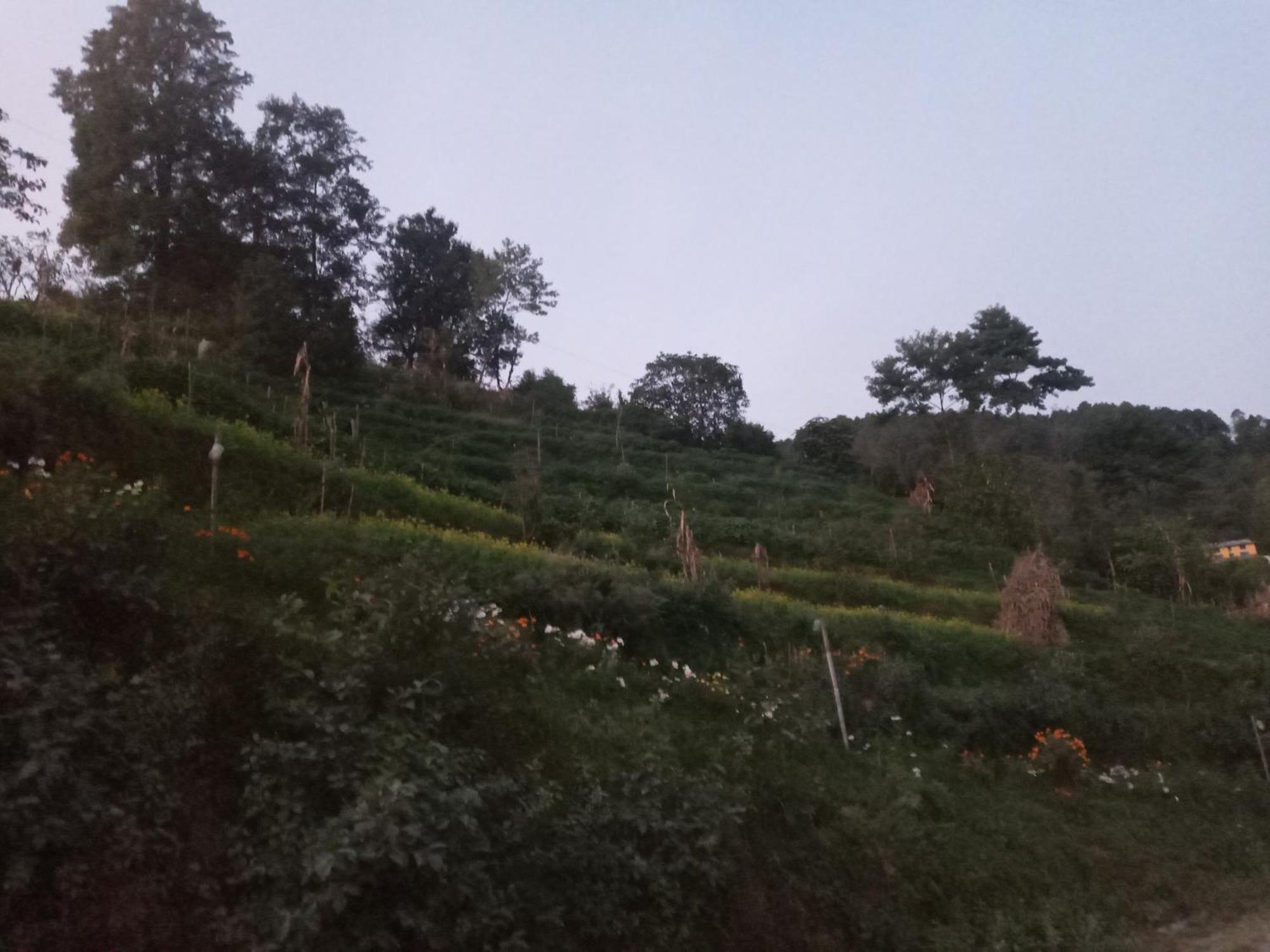 Unique Point Home Stay Nagarkot Esterno foto